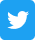 Twitter Icon